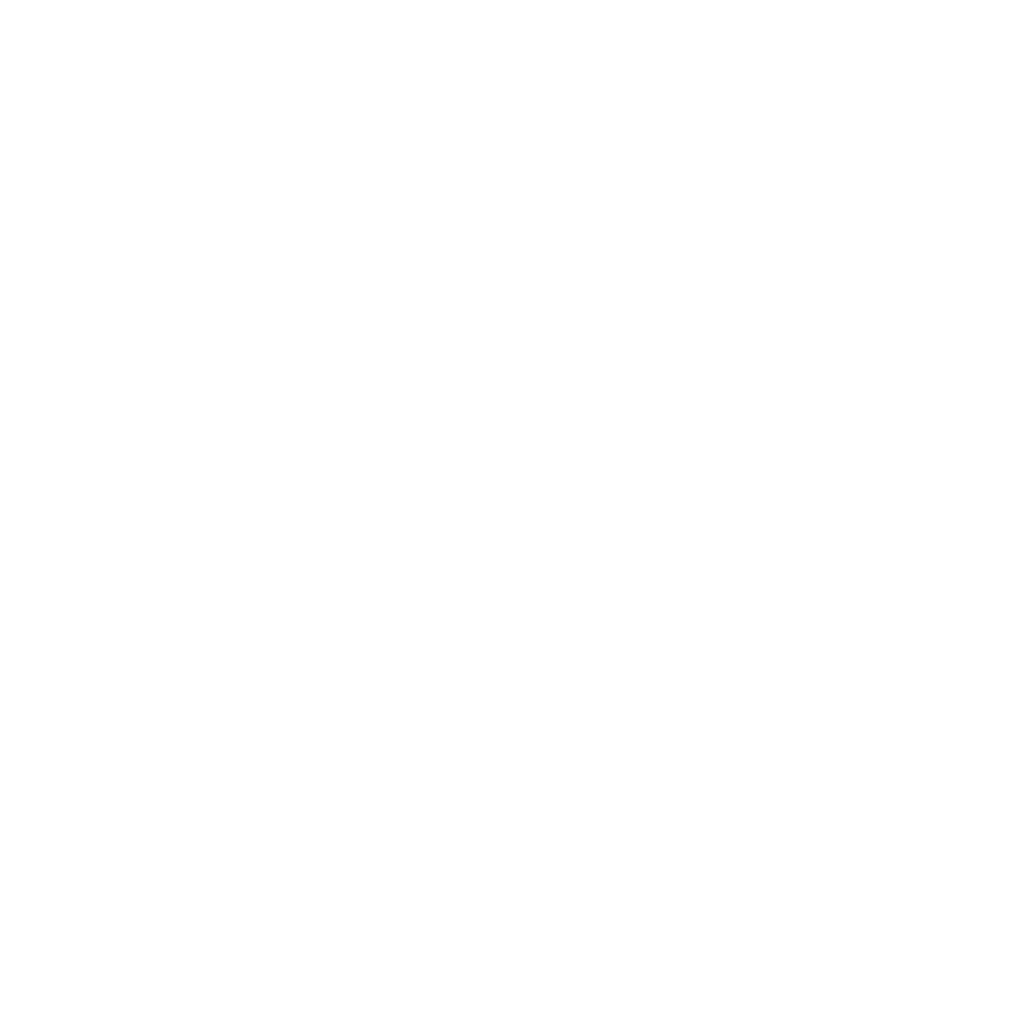 Solomon Christ White Logo
